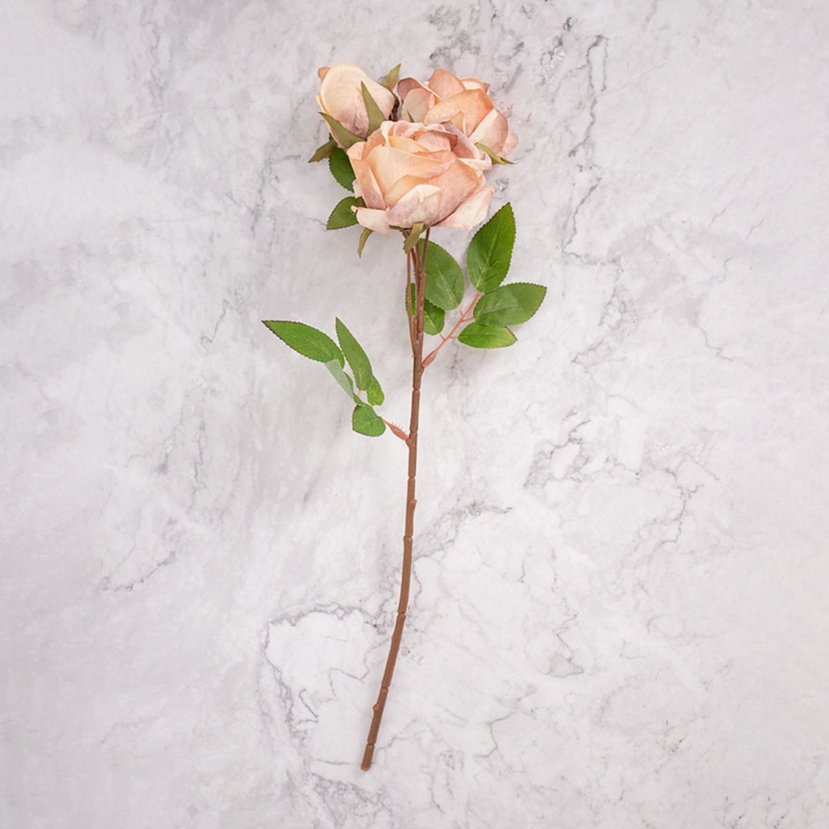 PANADECOR - Pack de 2 Rosas Marrón Panorama Hogar