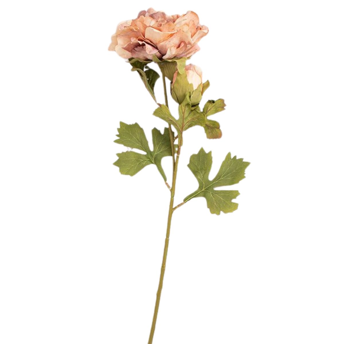 PANADECOR - Pack de 2 Peonías Marrón Panorama Hogar