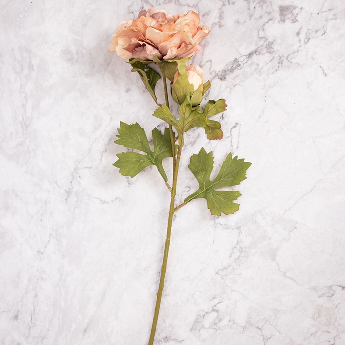 PANADECOR - Pack de 2 Peonías Marrón Panorama Hogar