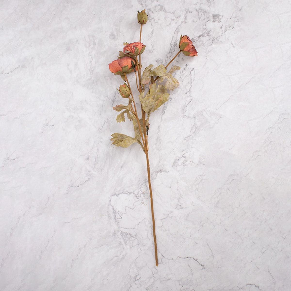 PANADECOR - Peonías Naranja Pack de 2 Panorama Hogar