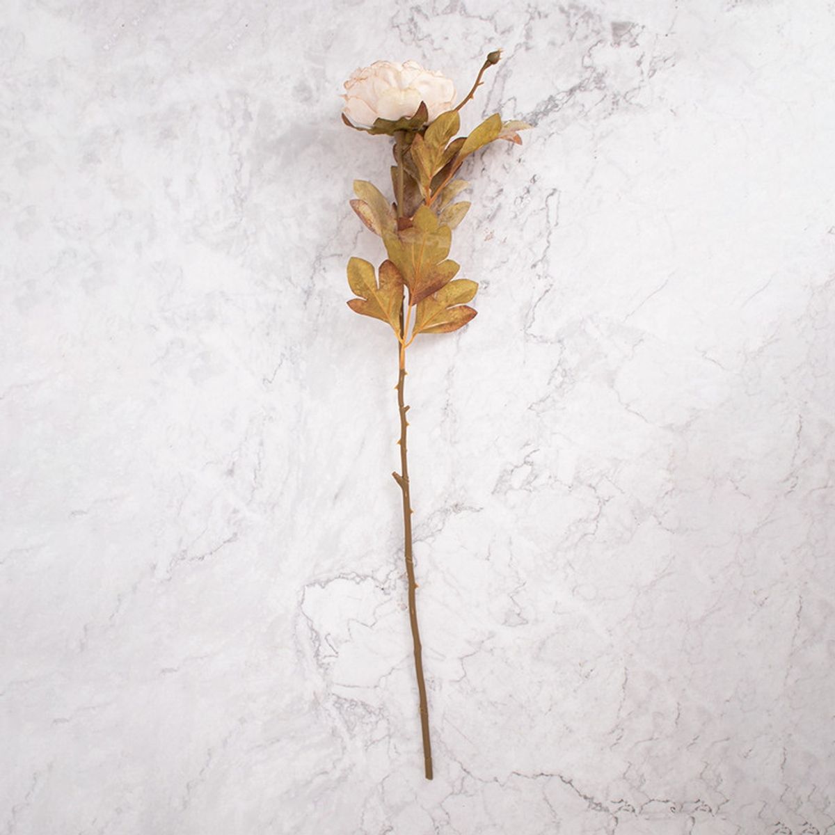 PANADECOR - Peonías en Vara Beige Pack de 2 Panorama Hogar