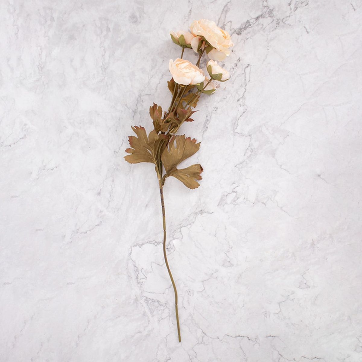 PANADECOR - Peonías en Pack de 2 Beige Panorama Hogar