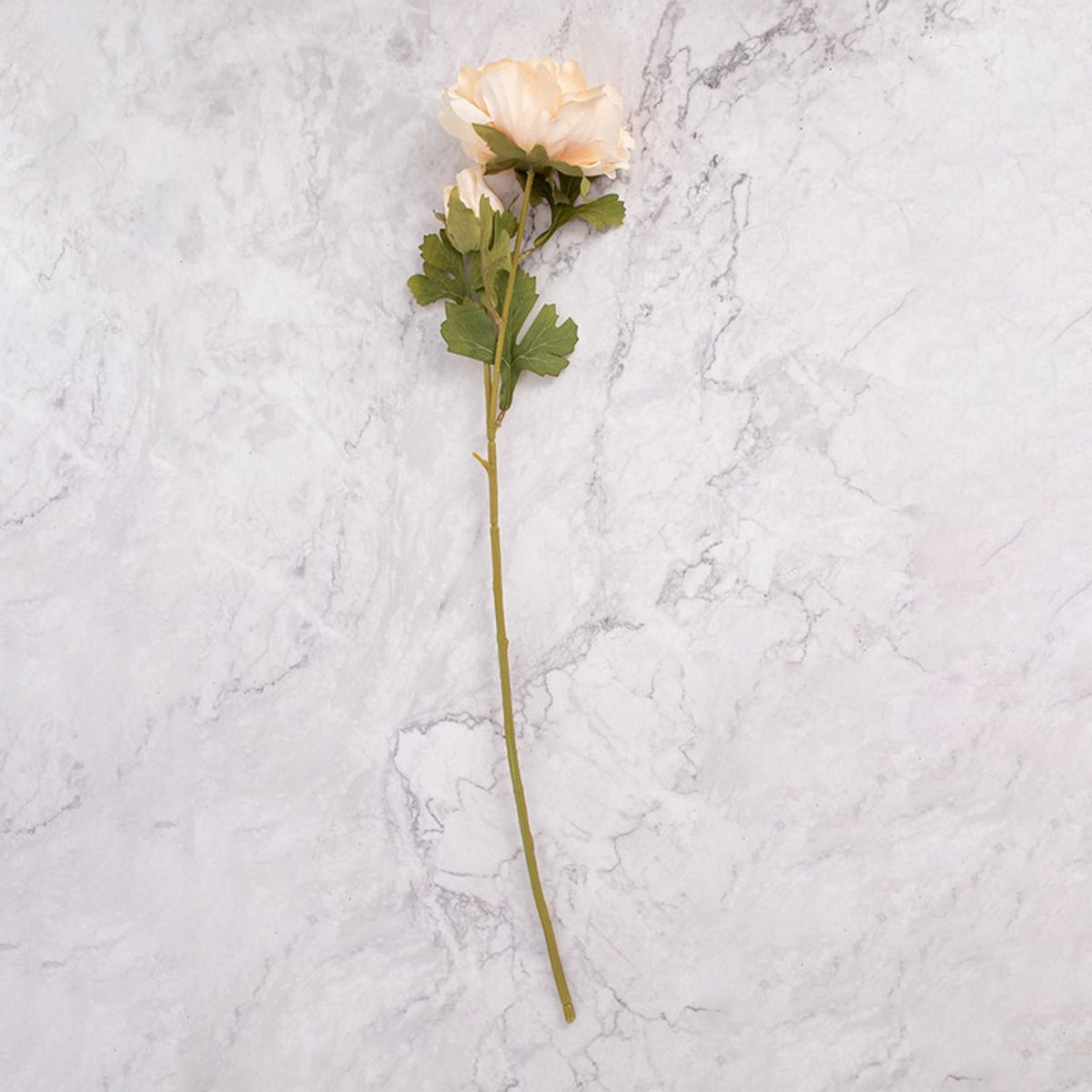 PANADECOR - Pack de 2 Peonías Beige Panorama Hogar