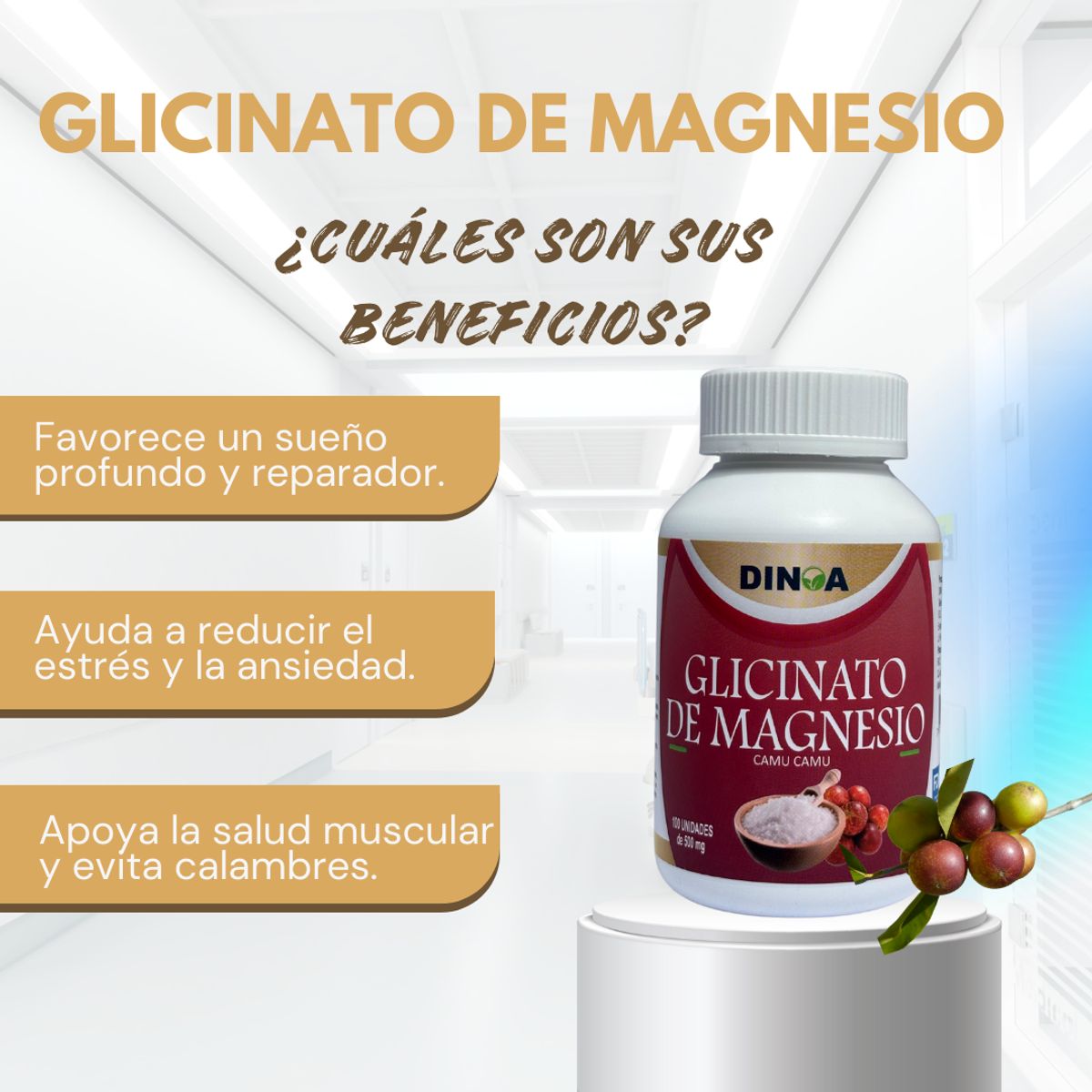 DINOA - Glicinato de Magnesio Cápsulas x 100 Dinoa -Descanso– equilibrio- función muscular