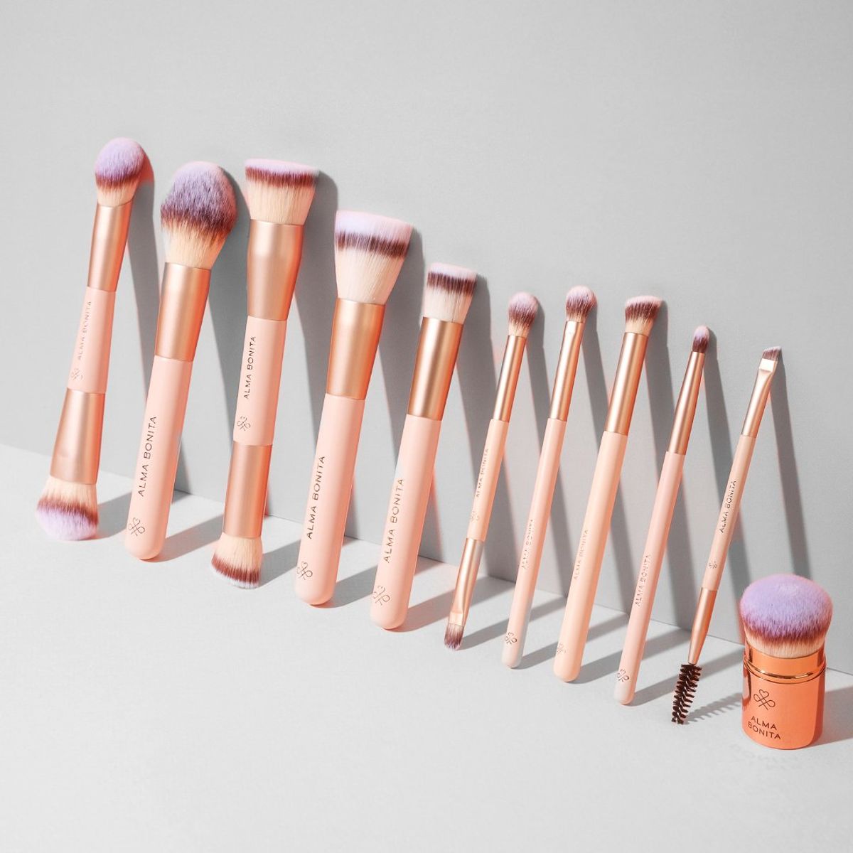 ALMA BONITA - Set de Brochas Profesionales 10 Unidades