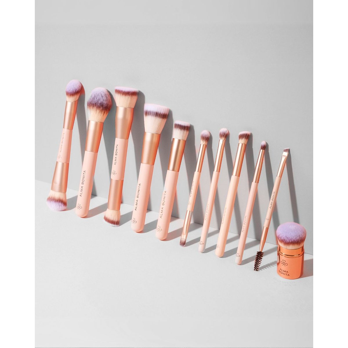 ALMA BONITA - Set de Brochas Profesionales 10 Unidades