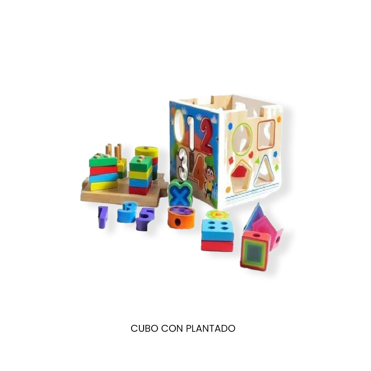 GENERICO - CUBO CON PLANTADO