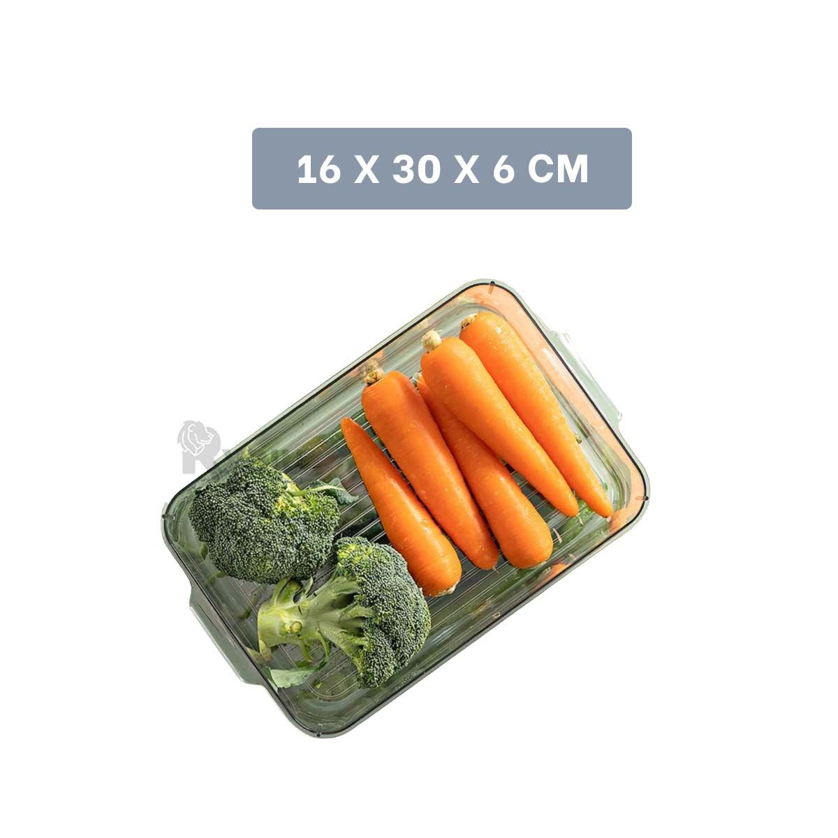 GENERICO - Pack2 Recipiente Elegante en 30x16x6cm Y+Ligas de Regalo