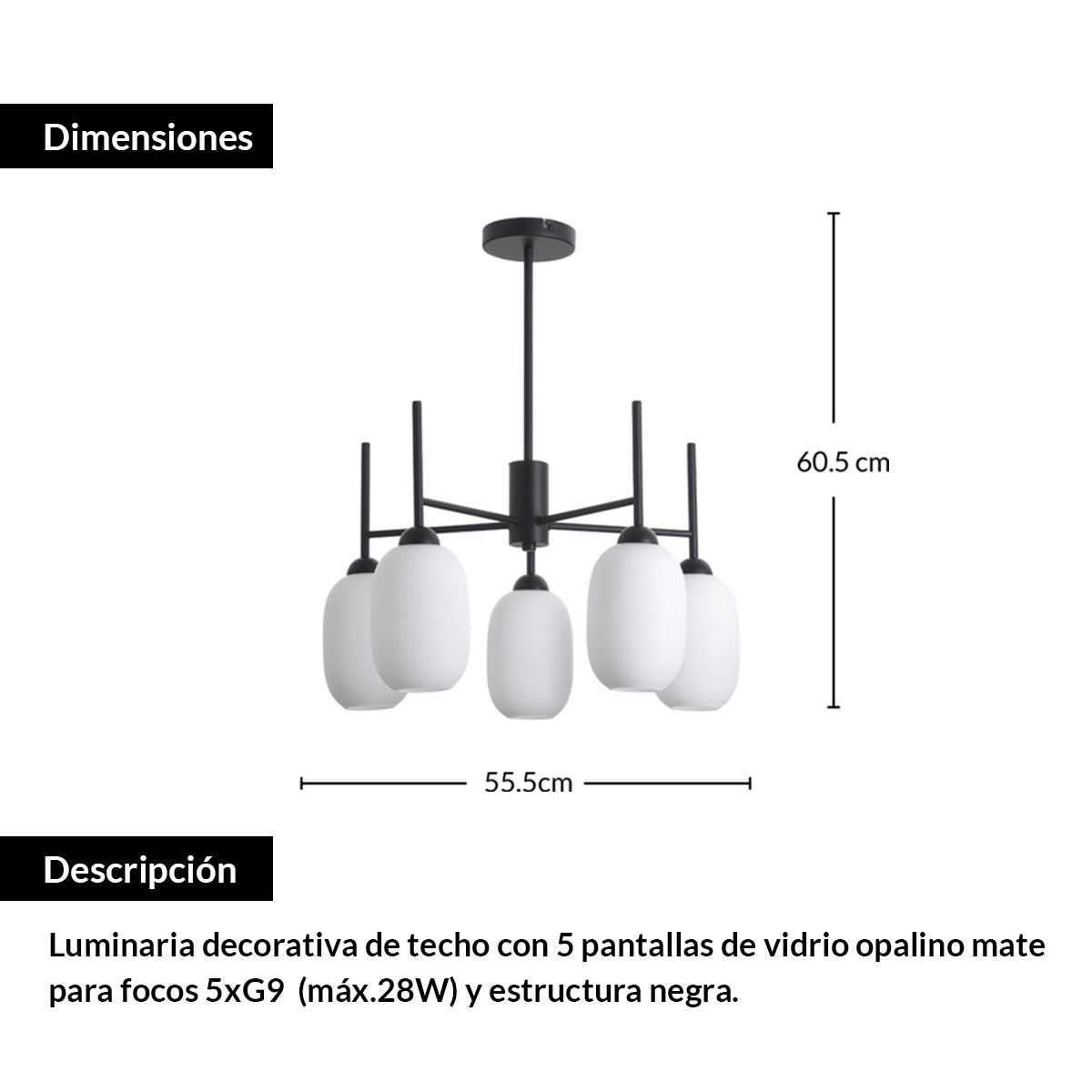 EVOLITE - Lámpara de techo suspendida EDS-009