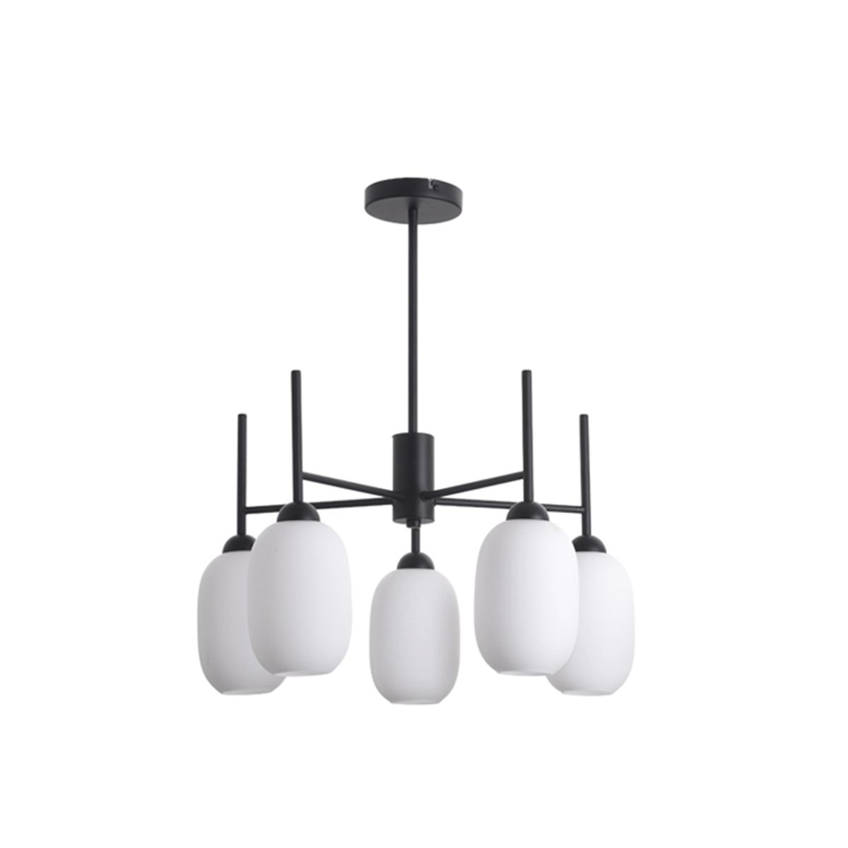 EVOLITE - Lámpara de techo suspendida EDS-009