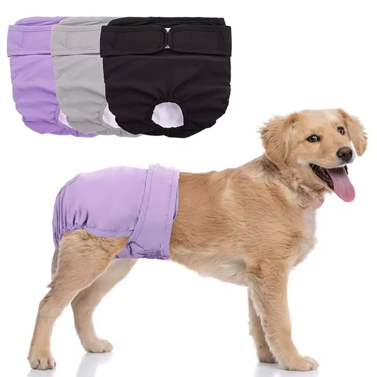 GENERICO - Pañal Lavable para Perritas Hembra  Talla M