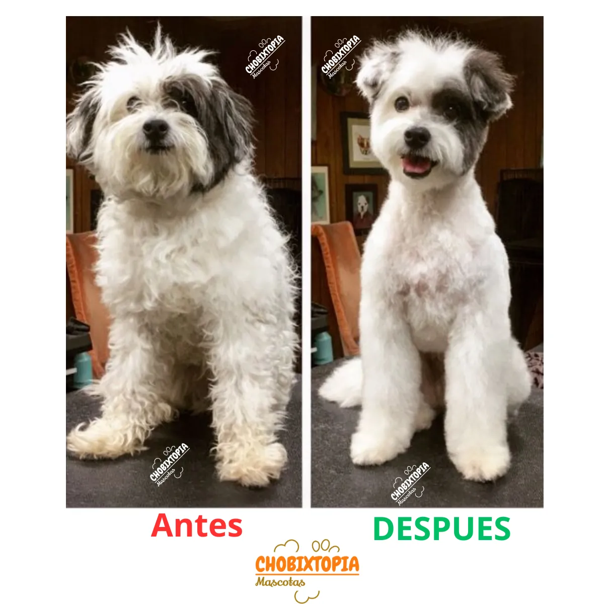 GENERICO - TIJERA REDUCTORA DE VOLUMEN CELESTE PERROS-MASCOTA