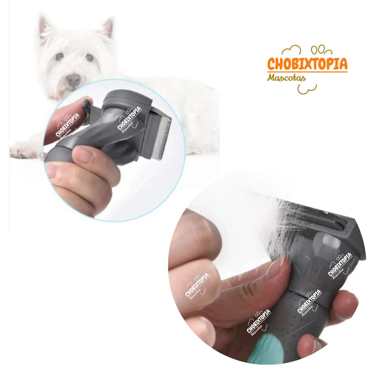 GENERICO - CEPILLO ELIMINA PELO INTERNA EXTERNO PERRO-GATO-VERDE T-M