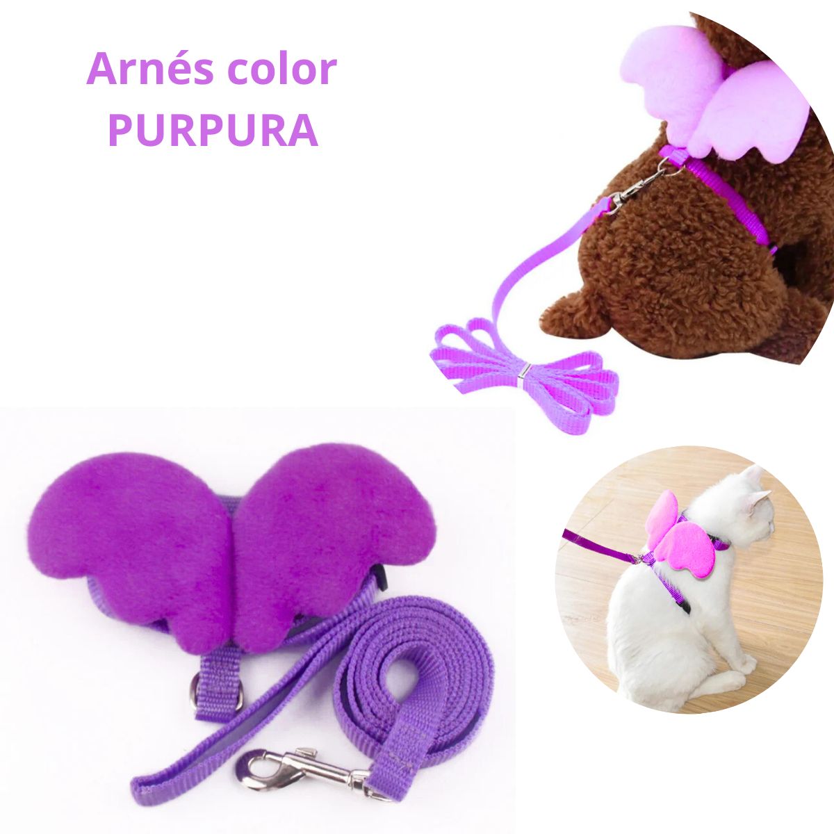GENERICO - ARNES CON ALAS Y CORREA CHICO - PURPURA