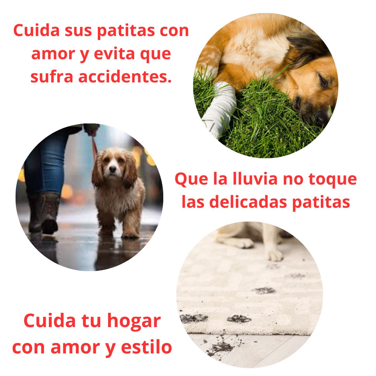 GENERICO - ZAPATOS IMPERMEABLES PARA PERROS Y MASCOTAS AZUL NOCHE-L