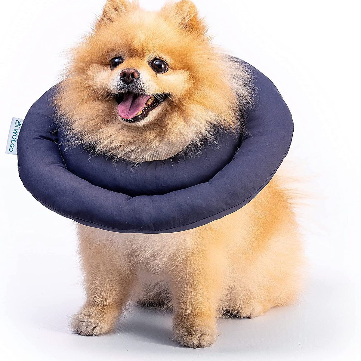 GENERICO - Collar Isabelino Para Mascotas Talla S