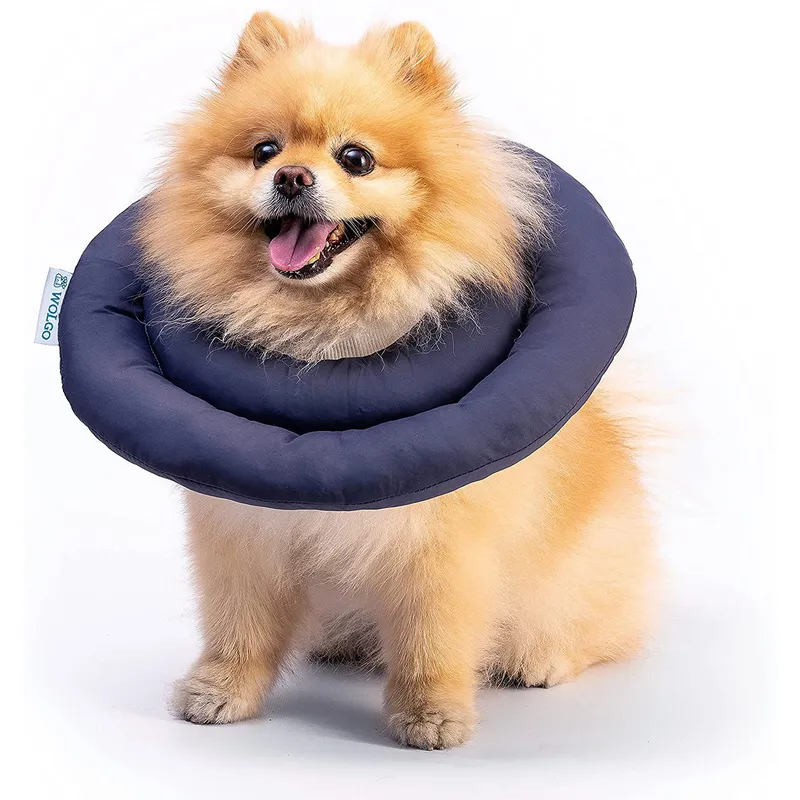 GENERICO - Collar Isabelino Para Mascotas Talla S