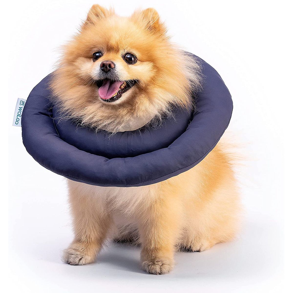 GENERICO - Collar Isabelino Para Mascotas Talla M