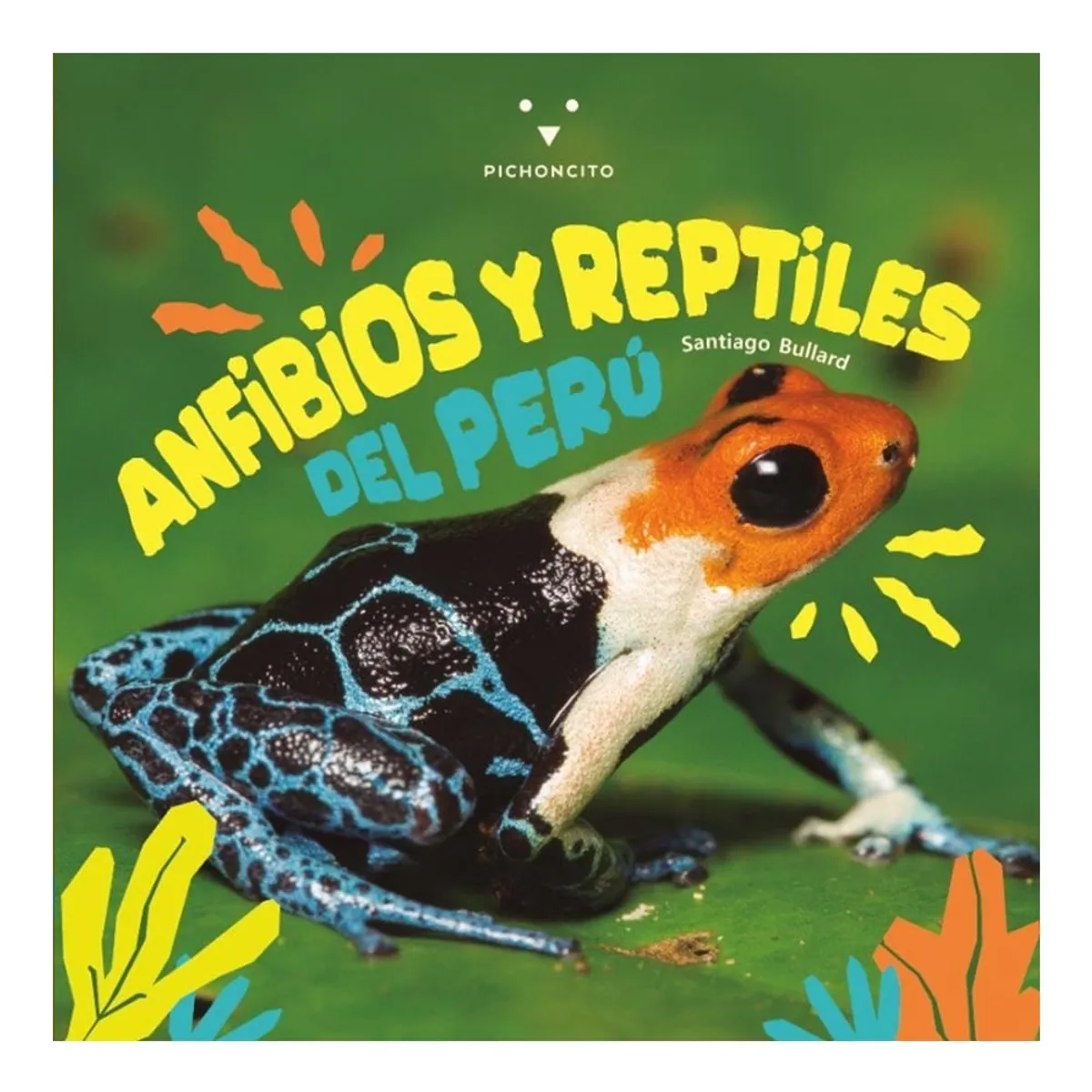 PICHONCITO - Anfibios y reptiles del Perú