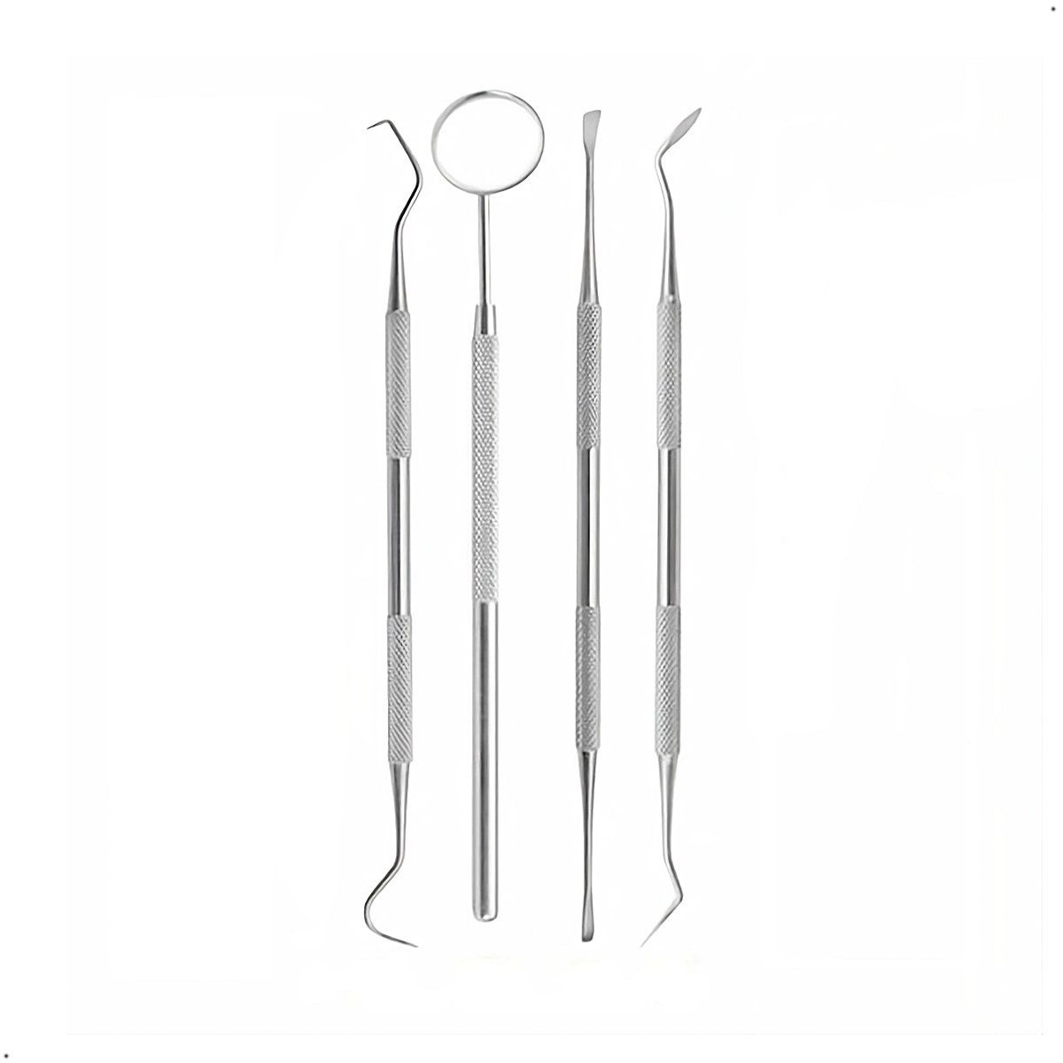 GENERICO - kit de limpieza dental 4 piezas de acero qirurgico