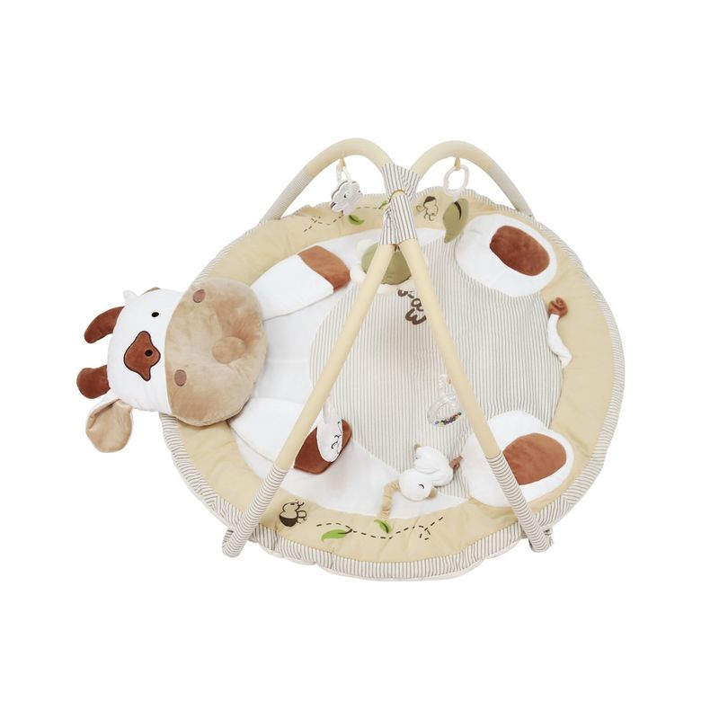 CARESTINO - Gimnasio Didáctico Carestino Vaca