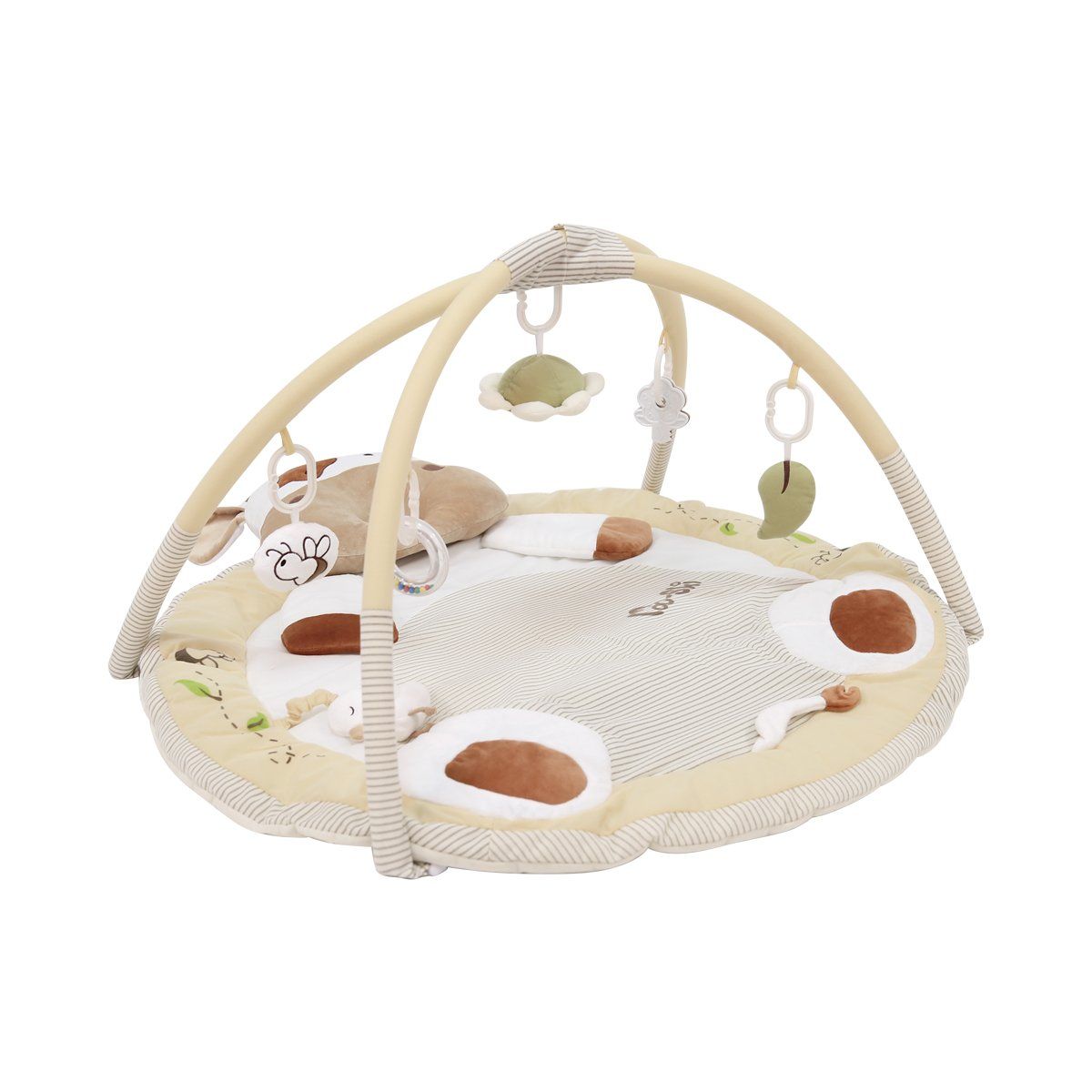 CARESTINO - Gimnasio Didáctico Carestino Vaca