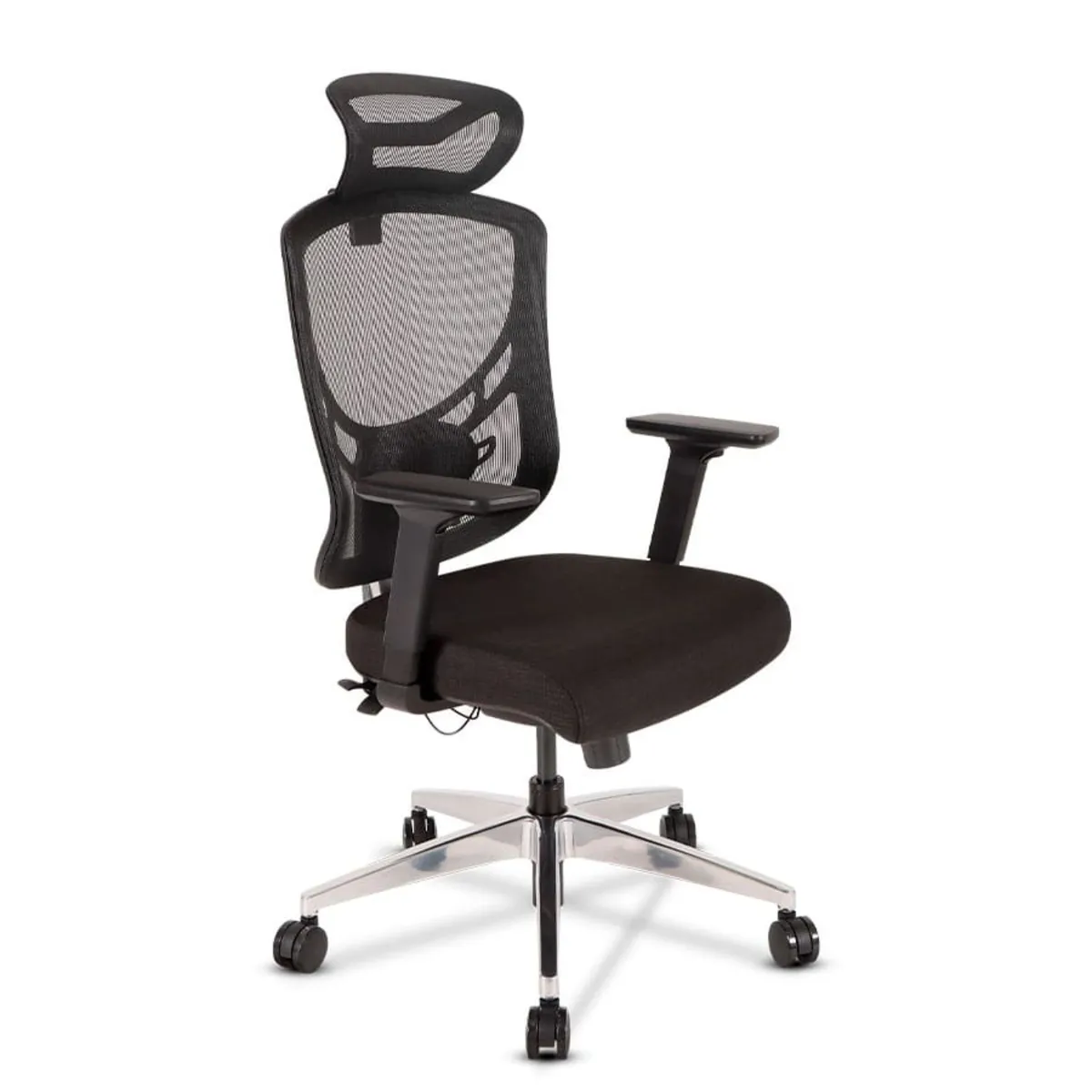 TIZIANNI - Silla de Oficina Coast 3