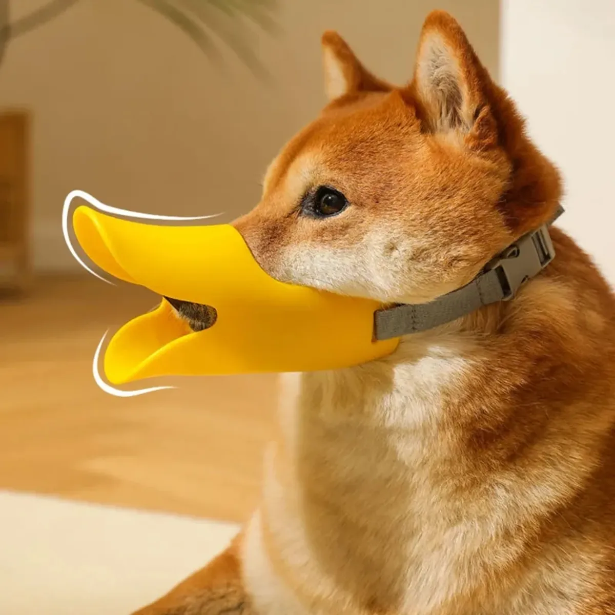 GENERICO - BOZAL DE PICO DE PATO - TALLA S (2.5 a 4.5 KG)