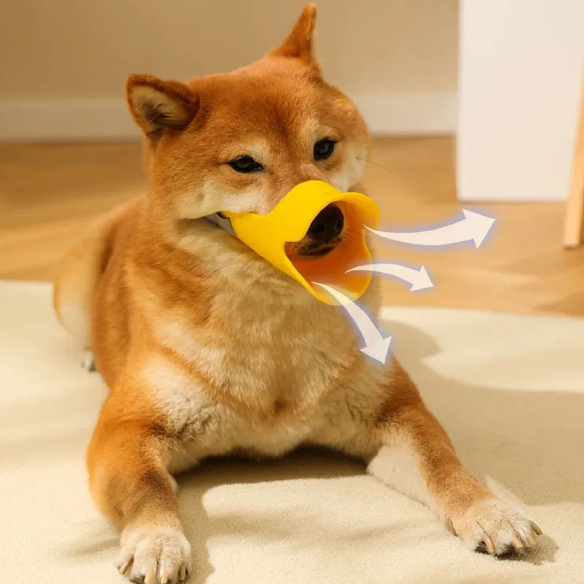 GENERICO - BOZAL DE PICO DE PATO - TALLA S (2.5 a 4.5 KG)