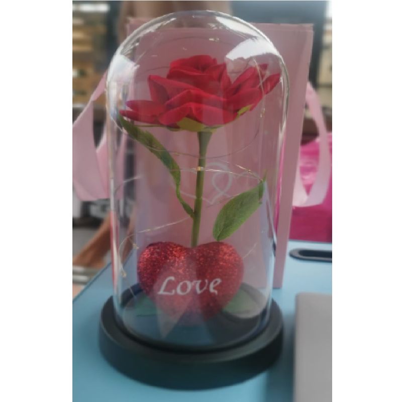 GENERICO - SAN VALENTIN ROSA  ENCAPSULADA