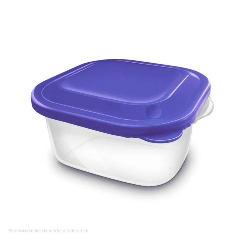 POLINPLAST - Taper Italiano 1 Kg Transparente con Tapa Hermética