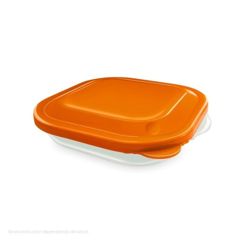 POLINPLAST - Taper Italiano 0.5 Kg Transparente con Tapa Hermética