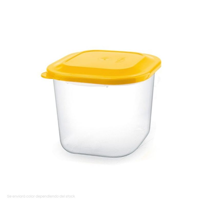 POLINPLAST - Taper Italiano 2 Kg Transparente con Tapa Hermética
