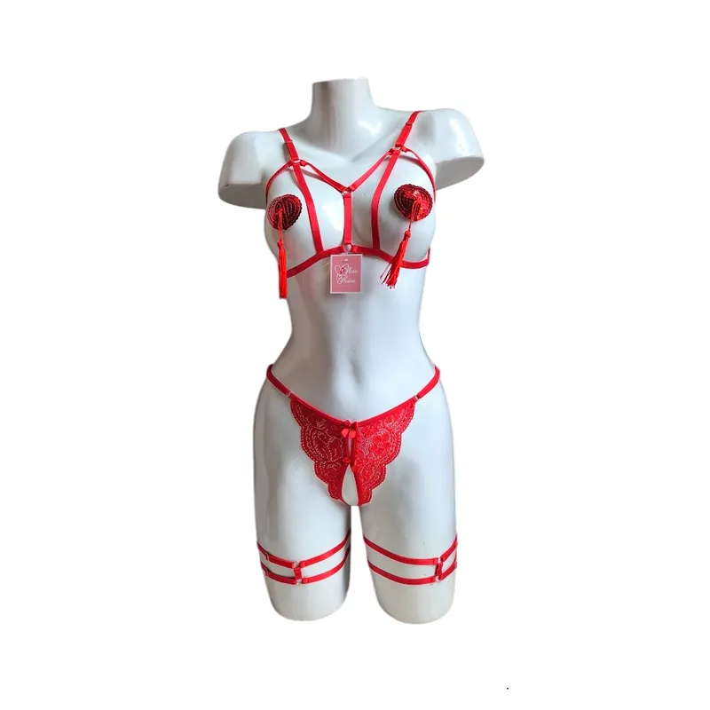 GENERICO - LENCERIA DE ENCAJE ARNES PORTALIGAS SEXY CON PEzONERA