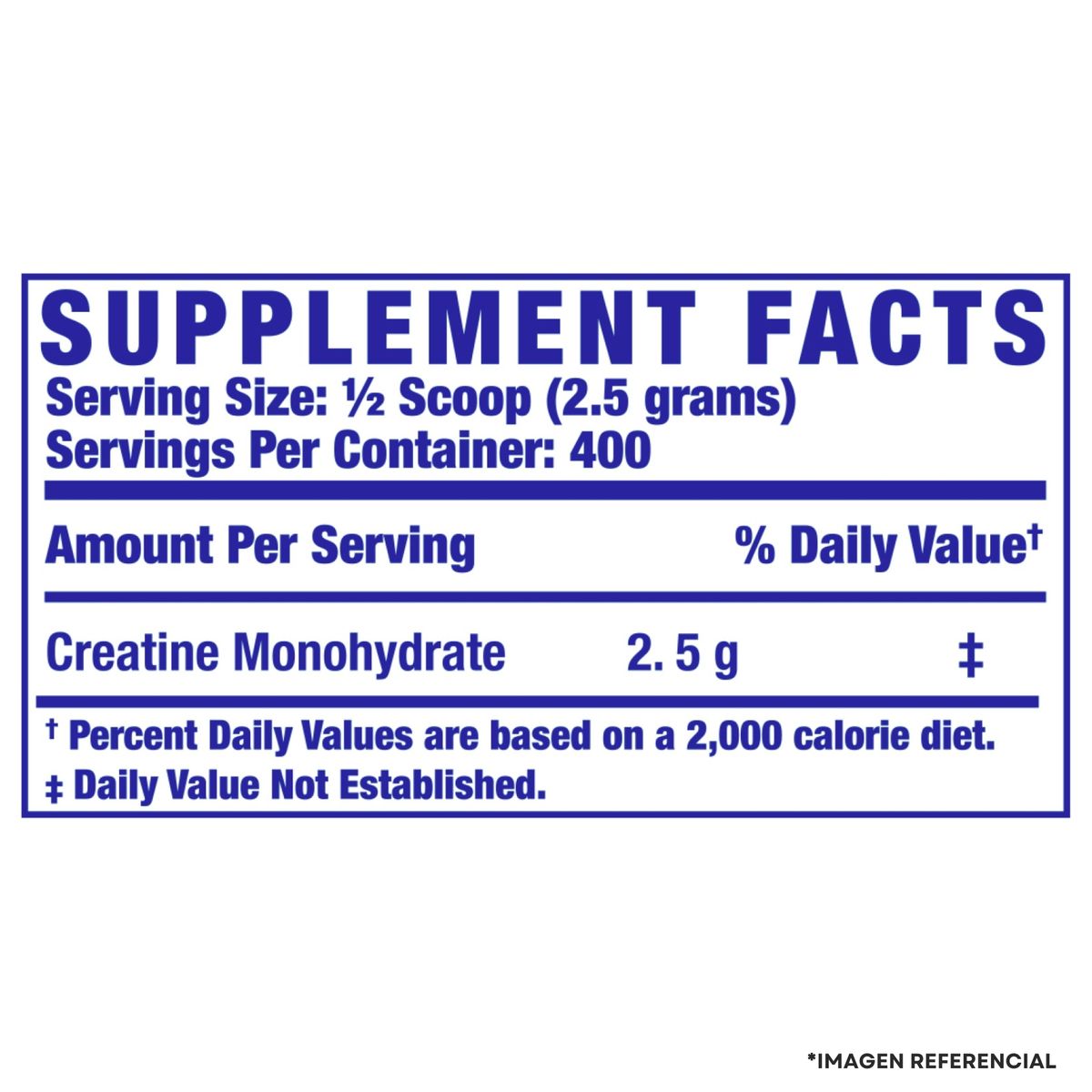RONNIE COLEMAN - Creatina Ronnie Coleman 300 g - Creatina Monohidratada