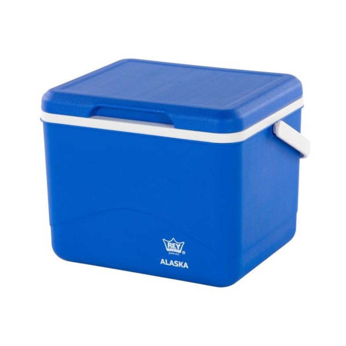 REYPLAST - Cooler Alaska 5L Portátil Compacto Conservación Azul