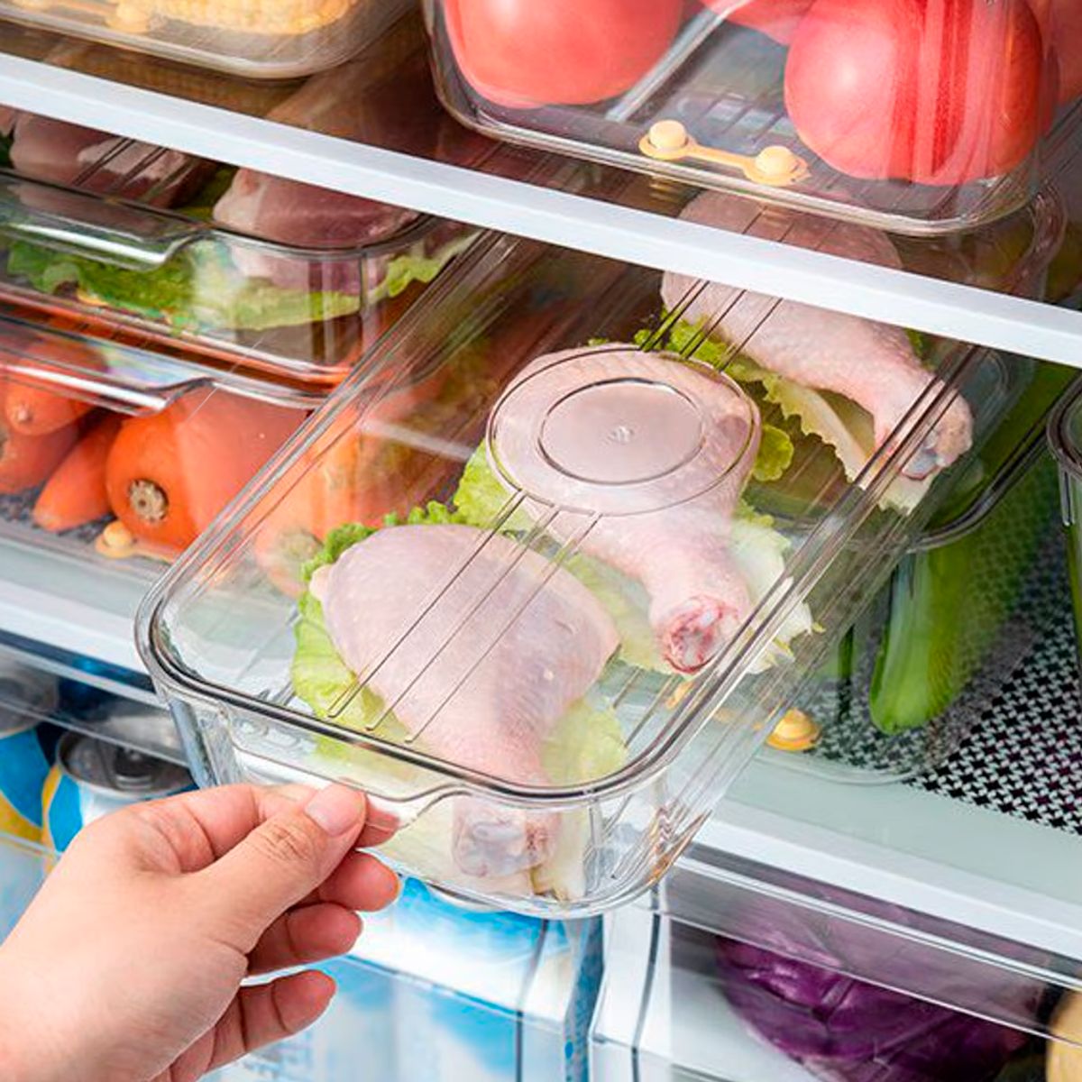 INSPIRA - Caja de Almacenamiento para Refrigerador con Drenaje 15 cm