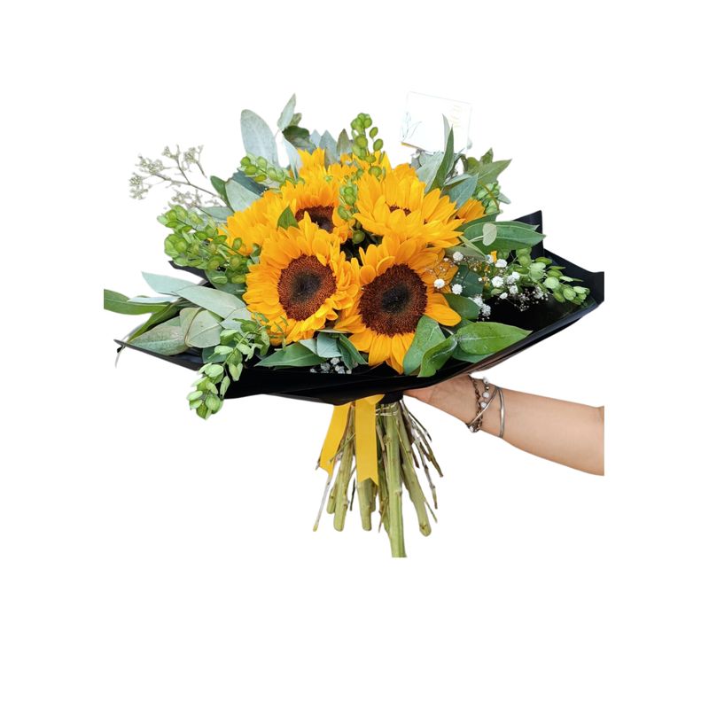 FLORISTERI - Girasoles de vivero x 5