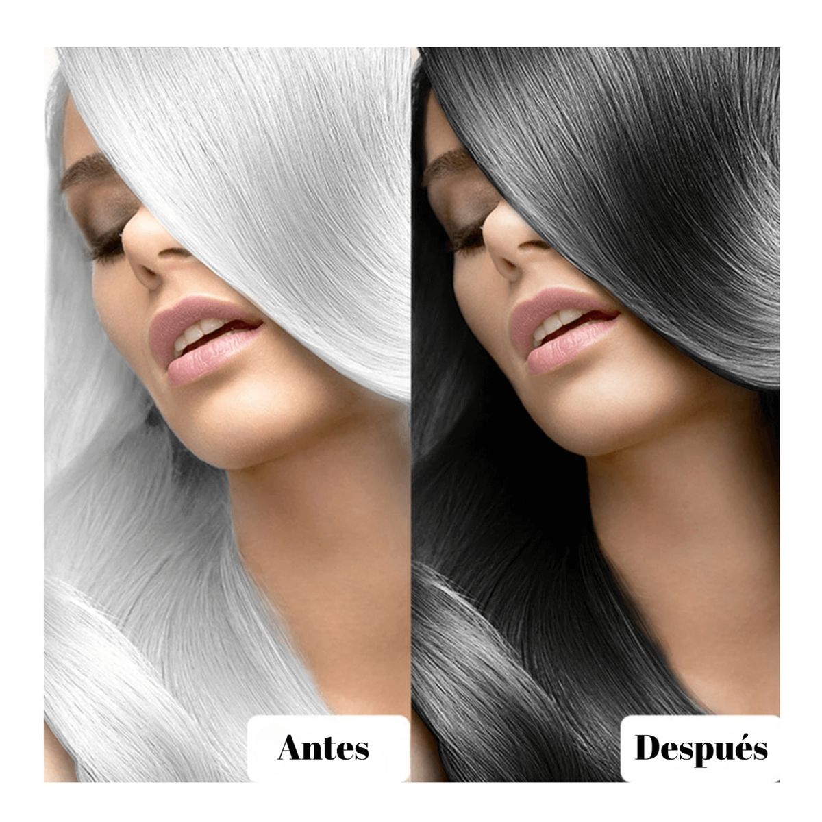 OEM - Shampoo Colorante Dexe  Cabello Negro
