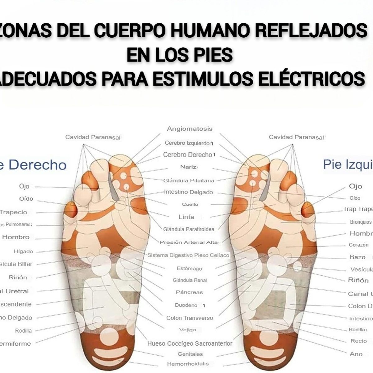 GENERICO - MASAJEADOR DE PIES PREMIUM DE IMPULSOS ELÉCTRICOS Y CARGADOR Y TOALLAS