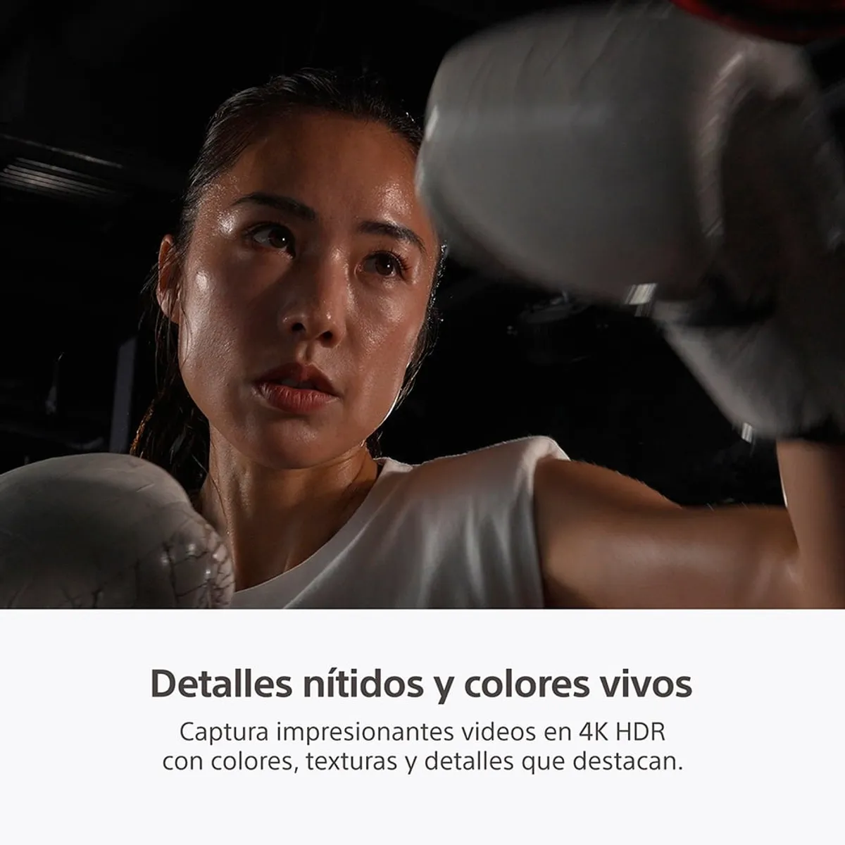 SONY - Sony Cámara Profesional HXR-NX800