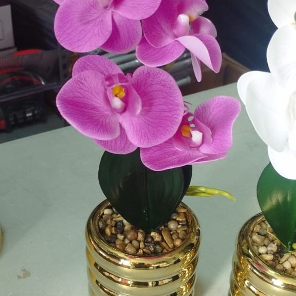 GENERICO - Orquídea Fucsia con Base Dorada
