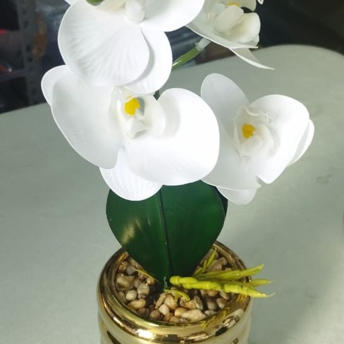 GENERICO - Orquídea Blanca con Base Dorada