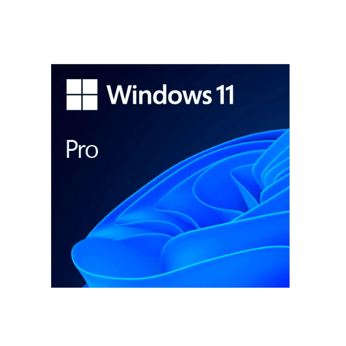 MICROSOFT - WINDOWS 11 PRO LICENCIA 1 LICENCIA OEM DVD 64-BIT PNFQC-10553