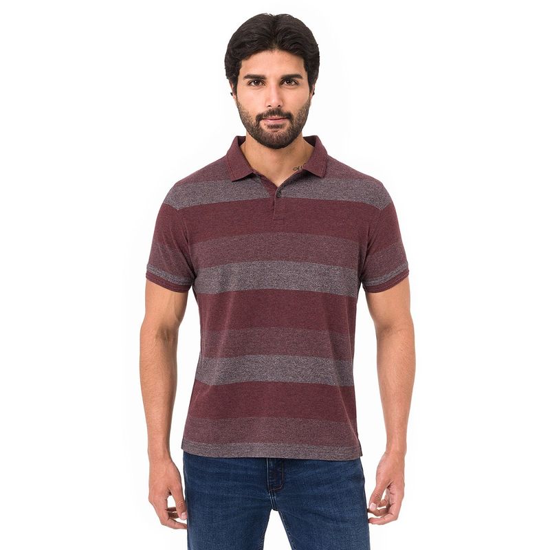 NORTON - Polos Pique Palvim Norton