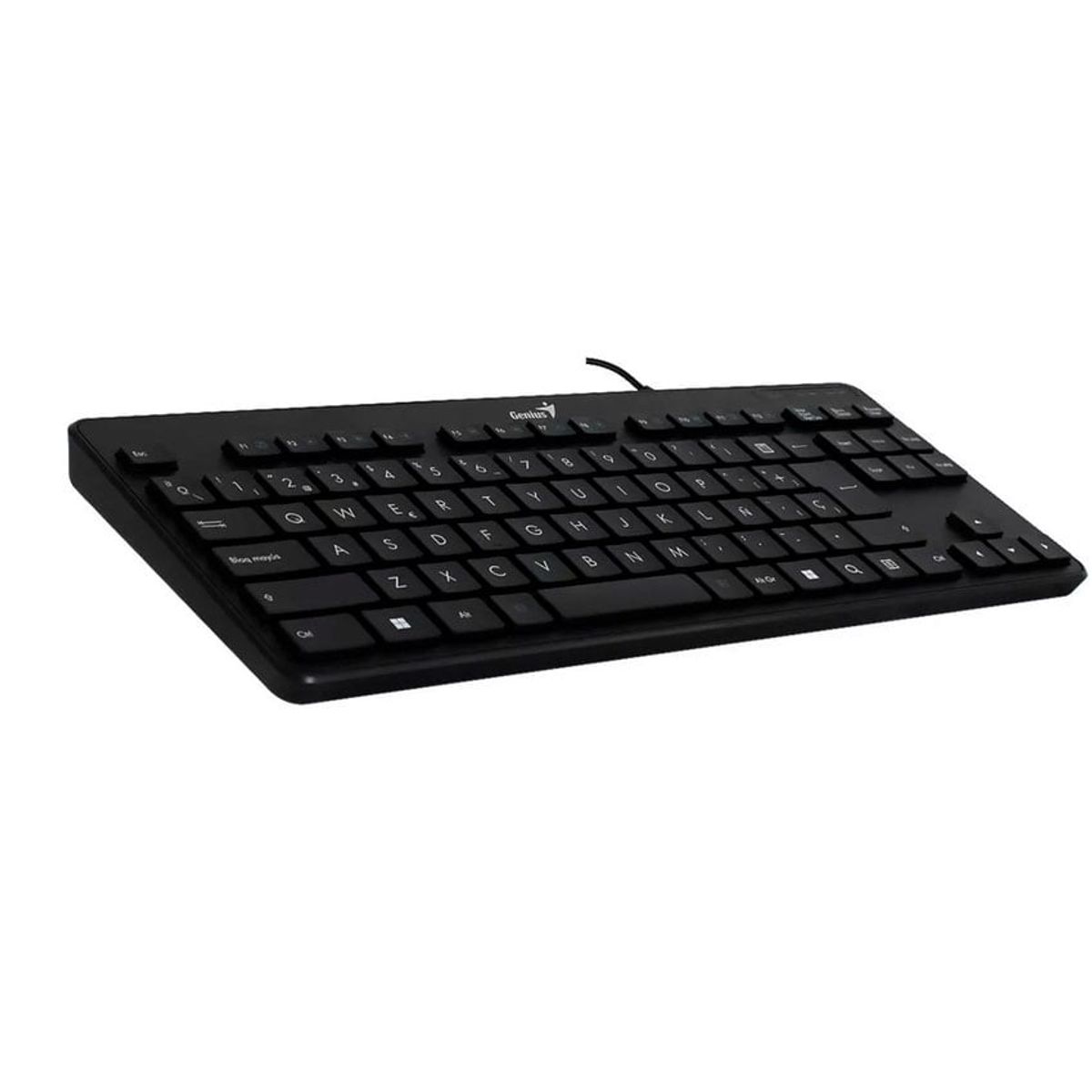 GENIUS - Teclado Genius Luxemate 110 Sp Usb Negro