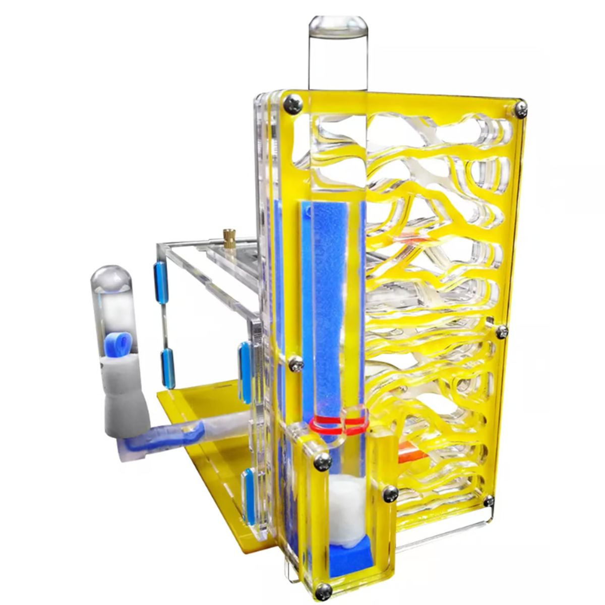 GENERICO - Nido de Hormigas Hormiguero Acrilico Transparente