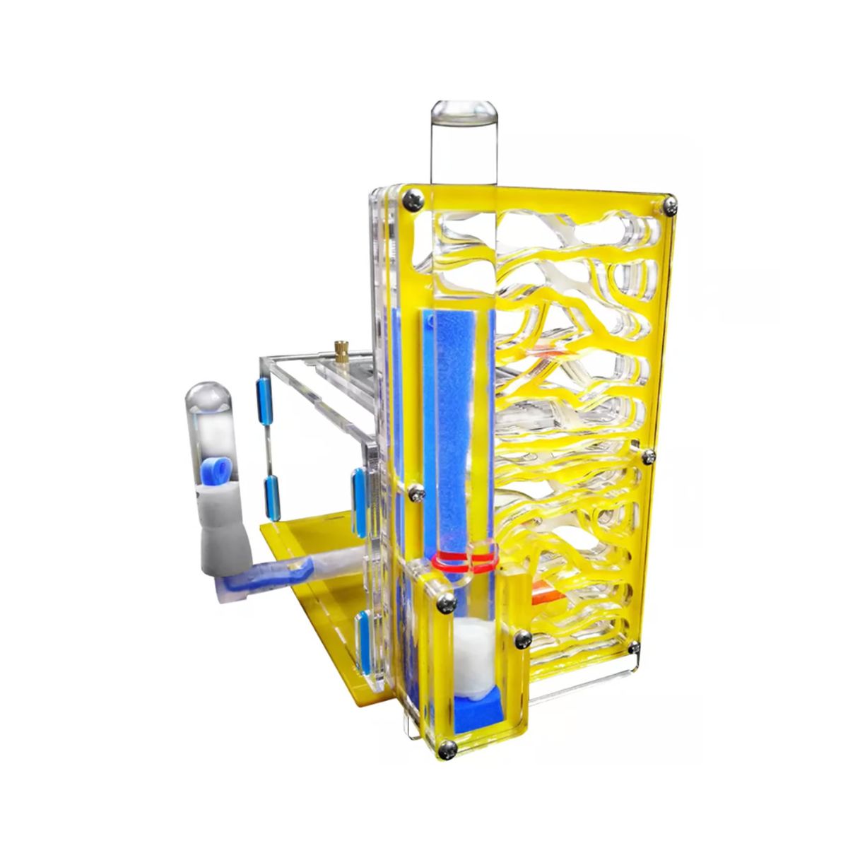 GENERICO - Nido de Hormigas Hormiguero Acrilico Transparente