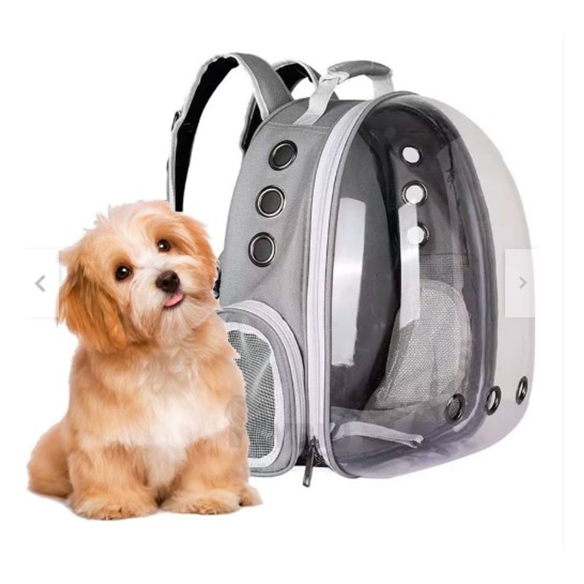 GENERICO - Mochila para  mascota grande transparente