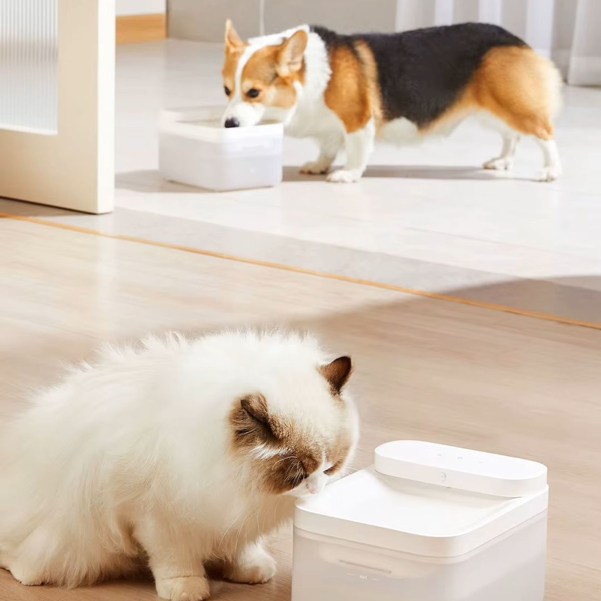 Bedero Para Mascotas 3 Litros Wifi Xiaomi Smart 2 . - Blanco, marca XIAOMI - Foto 2